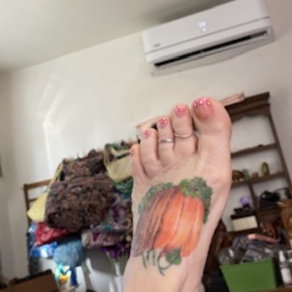 Meet your Posher, Pumpkin - Picture 1 of 1